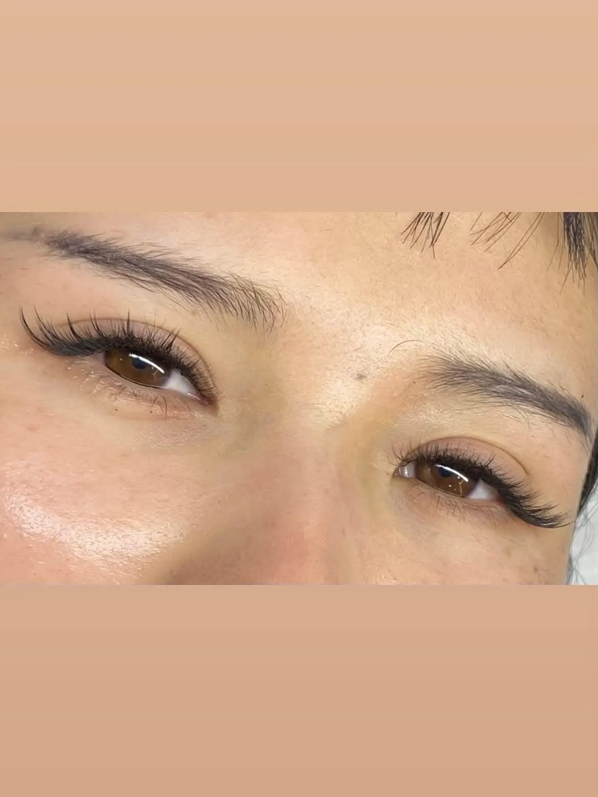 Lash Portfolio