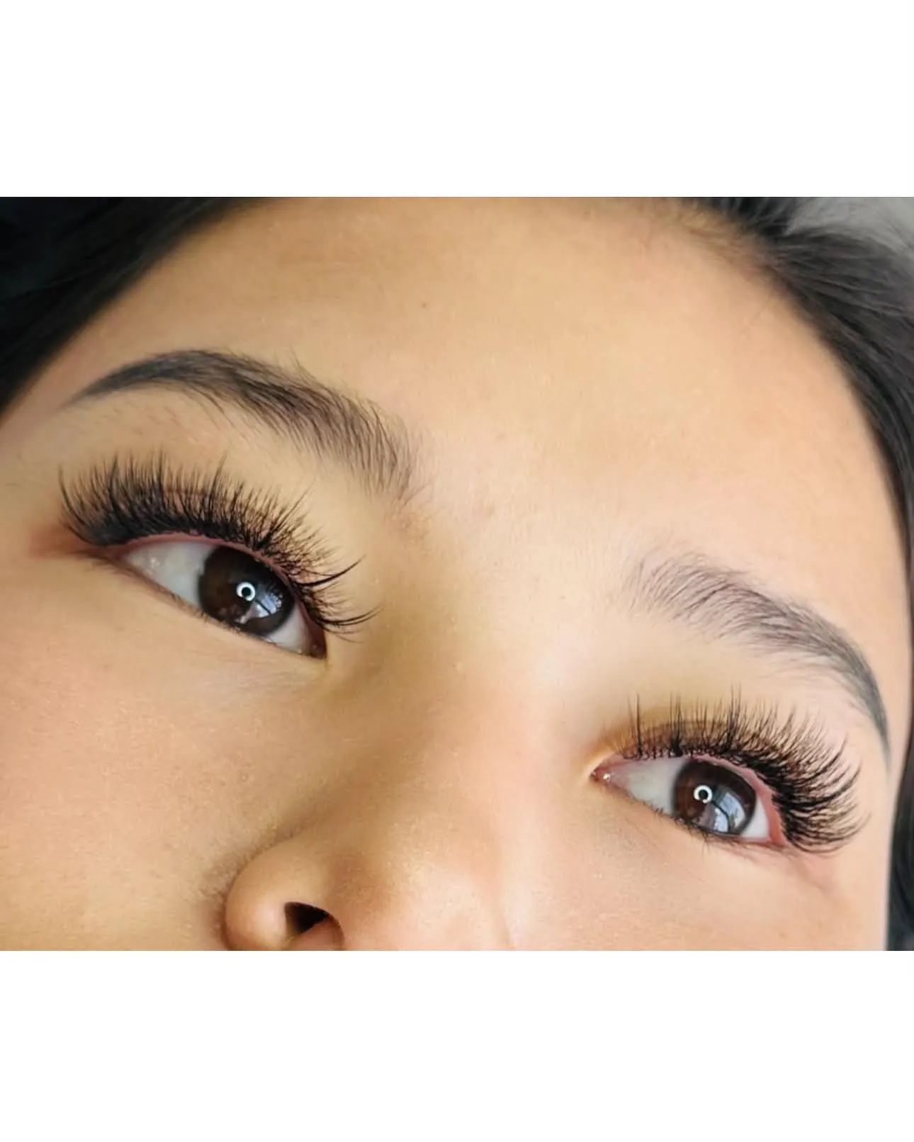 Lash Portfolio