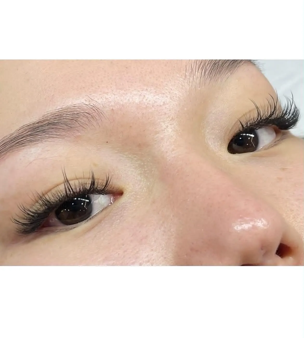 Lash Portfolio