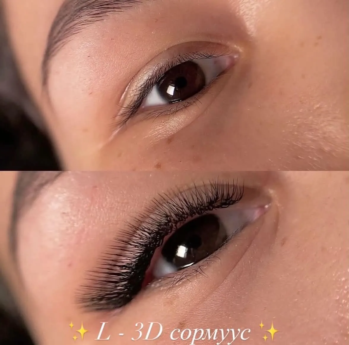 Lash Portfolio
