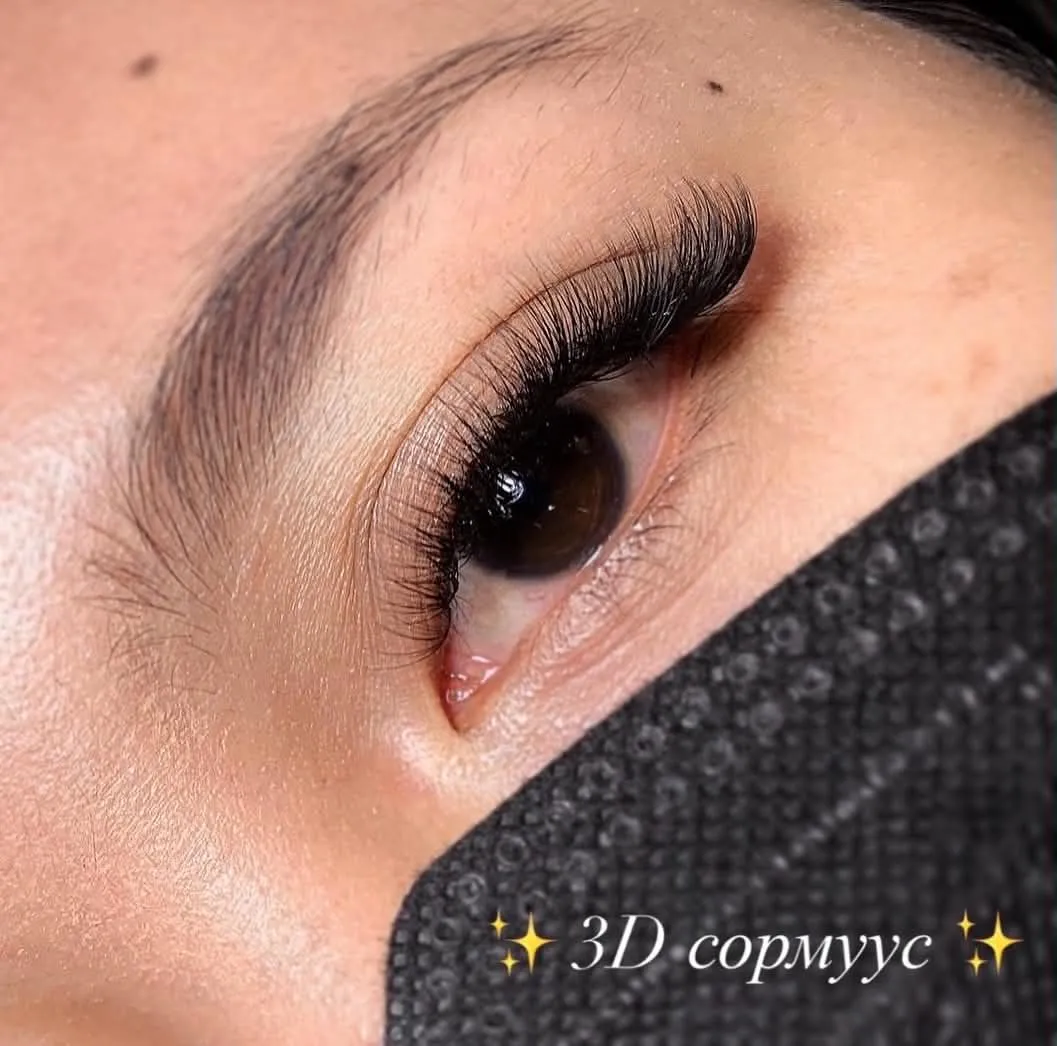 Lash Portfolio