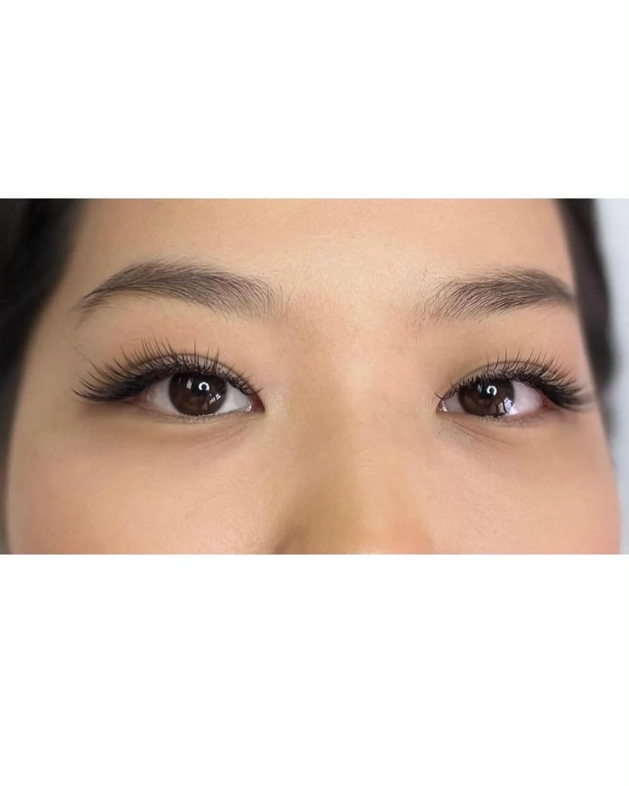 Lash Portfolio