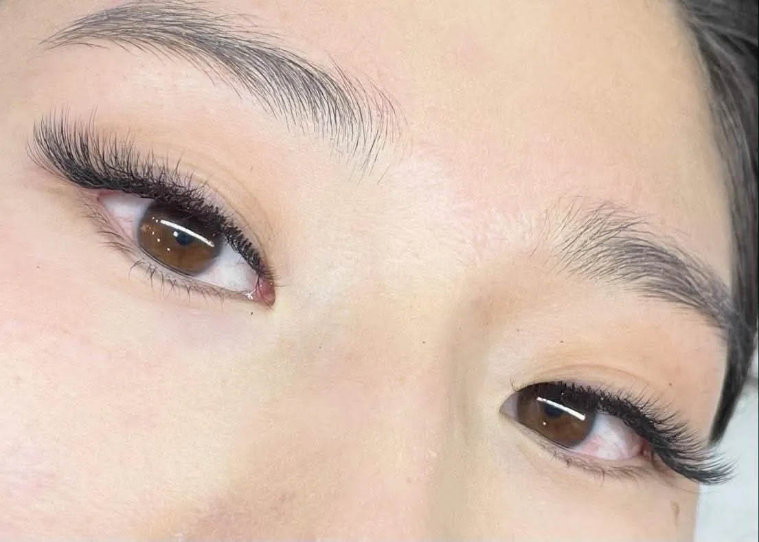 Lash Portfolio