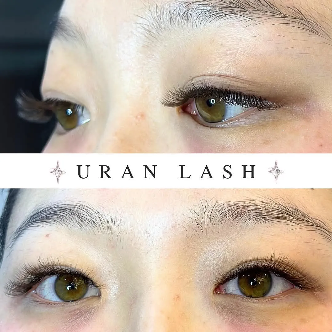 Lash Portfolio