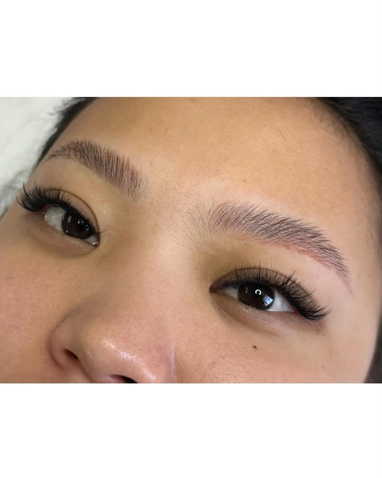 Lash Portfolio