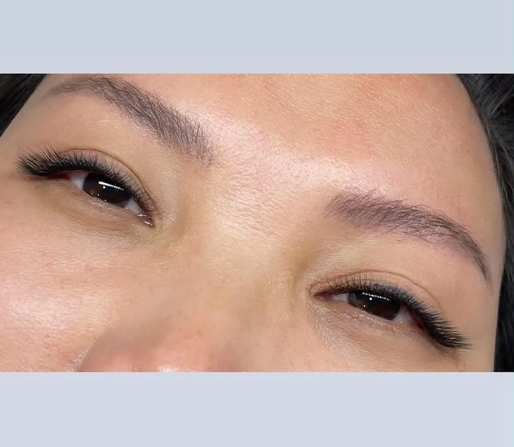 Lash Portfolio