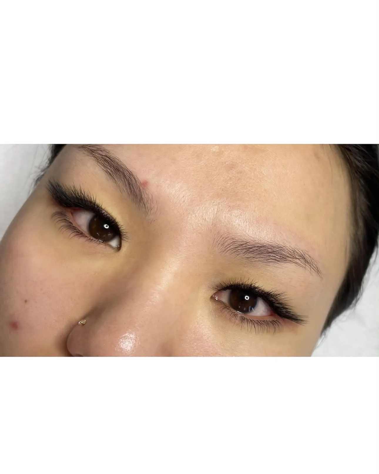 Lash Portfolio