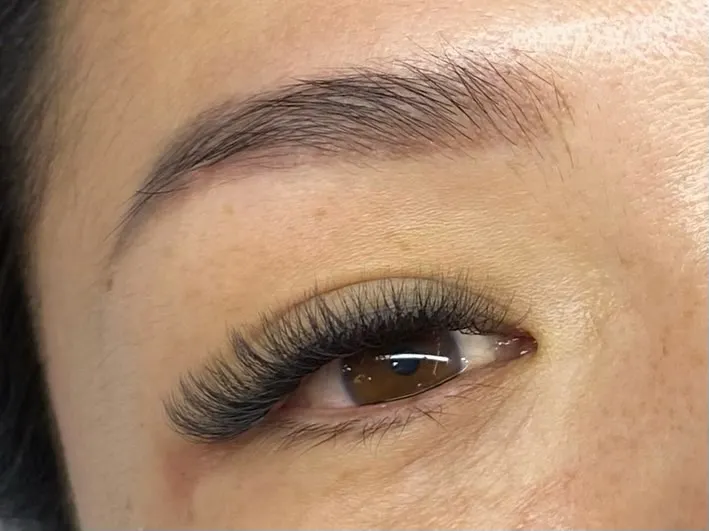 Lash Portfolio