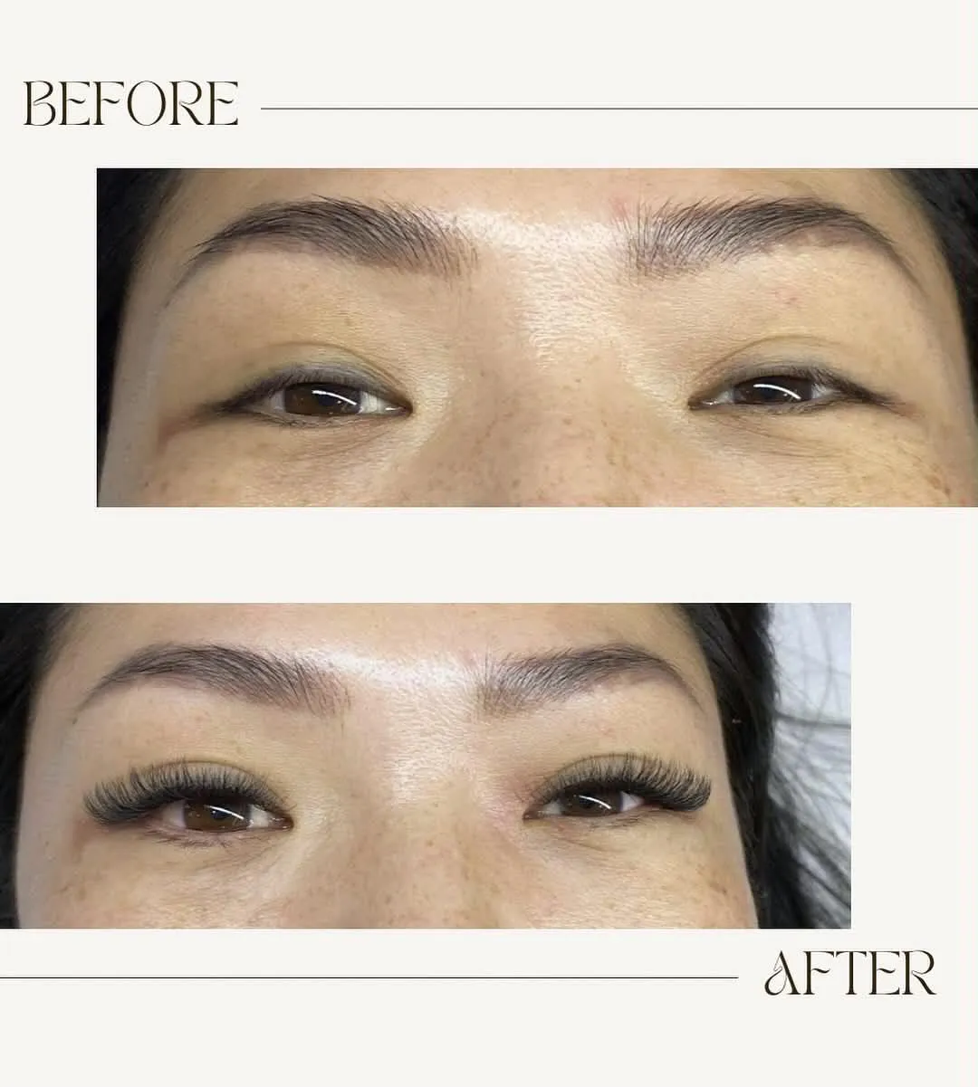 Lash Portfolio
