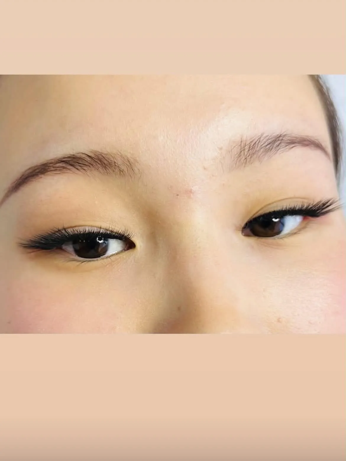 Lash Portfolio